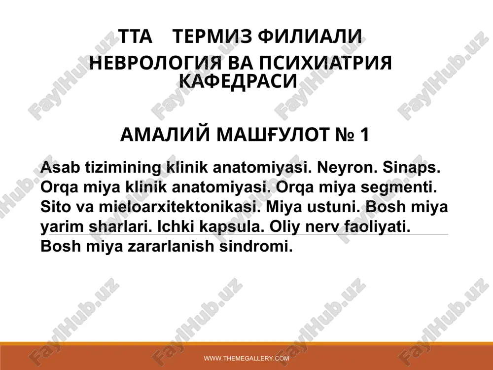 asab tizimining klinik anatomiyasi — PPT