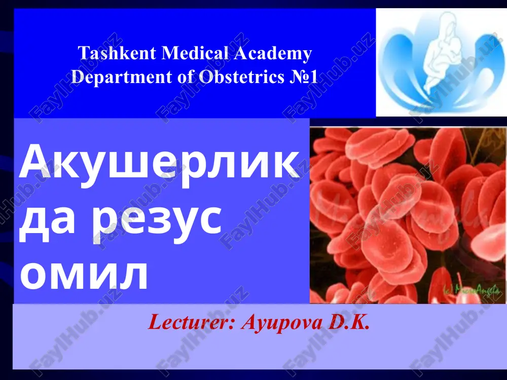 akusherlikda rezus omil — PPT
