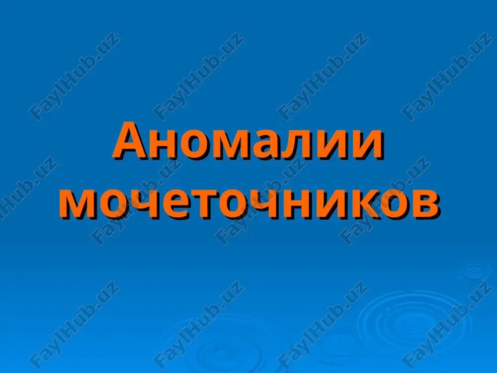 anomalii mochetochnikov — PPT