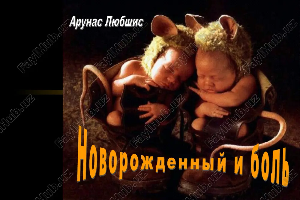 novorojdenniy i bol — PPT