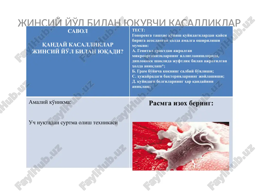 jinsiy yo'l bilan yuquvchi kasalliklar — PPTX