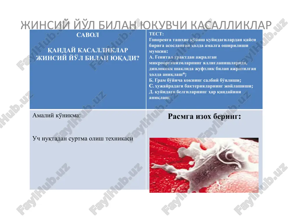 jinisiy yul bilan yuquvchi kasalliklar — PDF