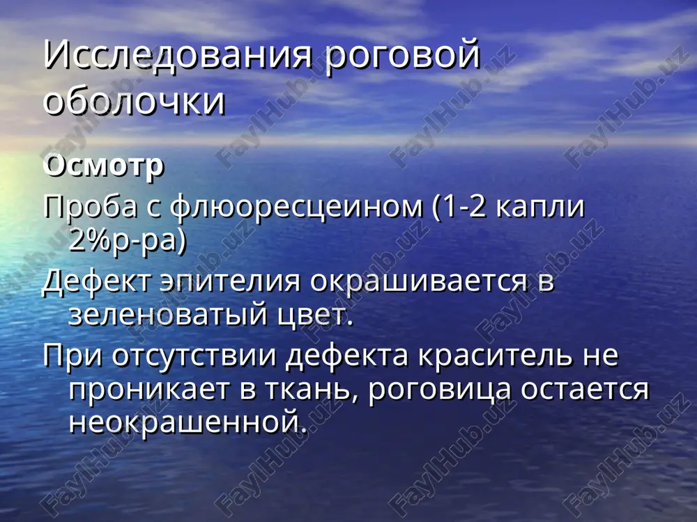 issledovaniya rogovoy obolochki — PPT
