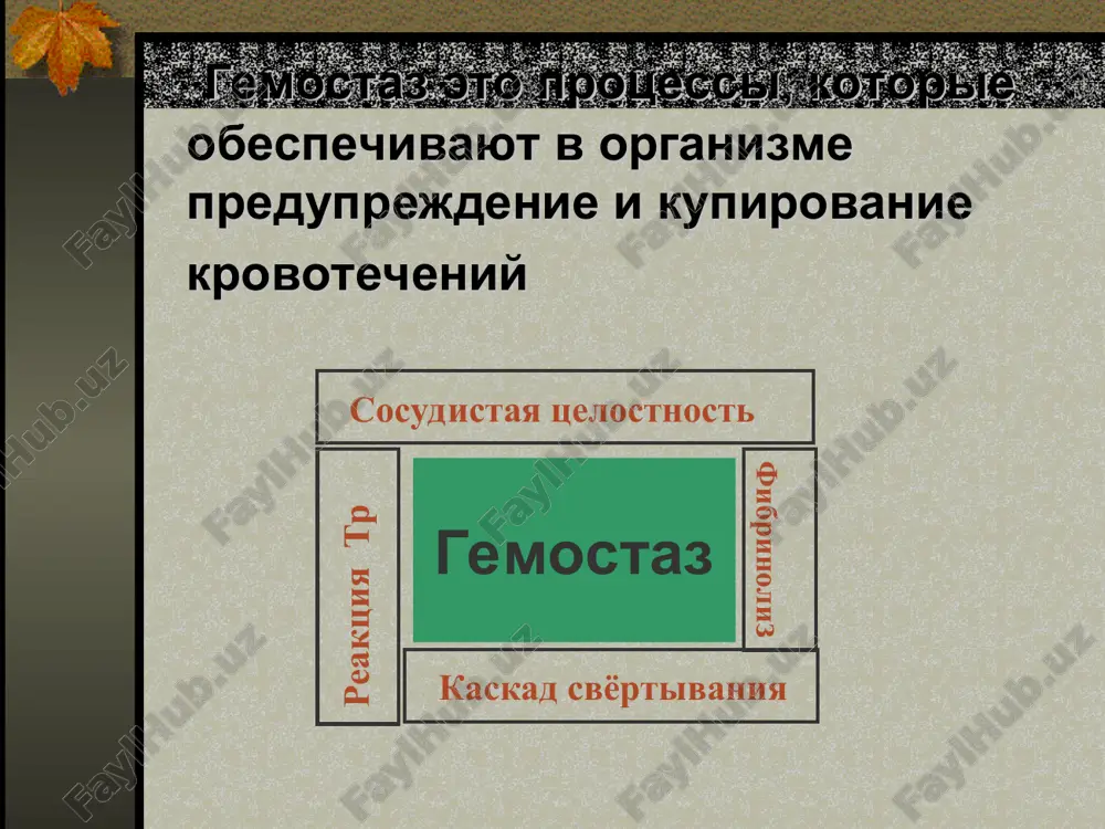 krovotecheniya u novorojdennix — PPT