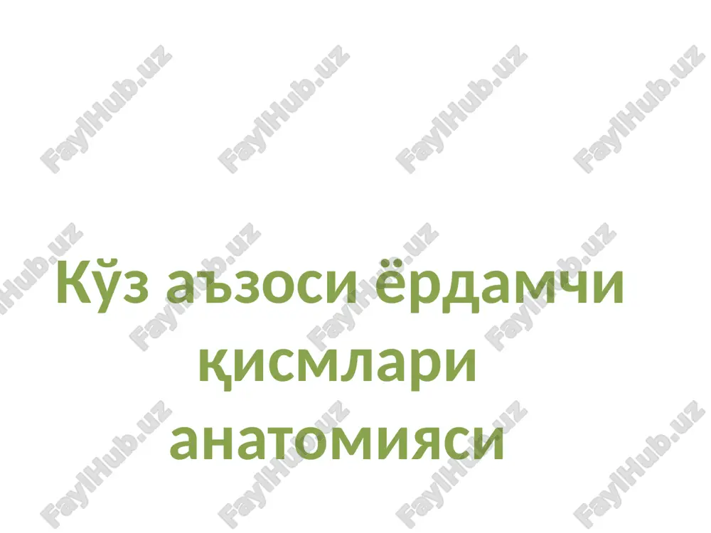 ko'z a'zos yordamchi qismlari anatomiyasi — PPT
