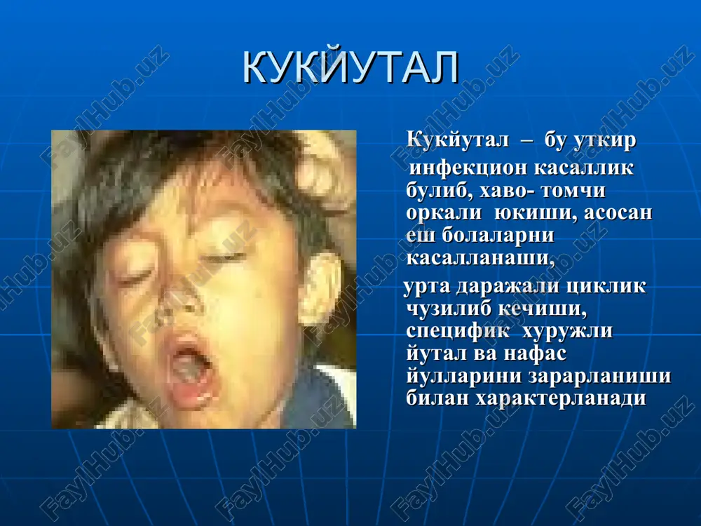 kukyutal — PPT