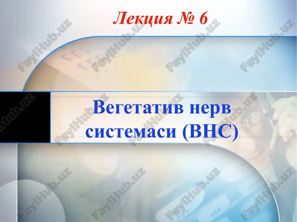 vegetativnervsistemasi(vns) — PPTX