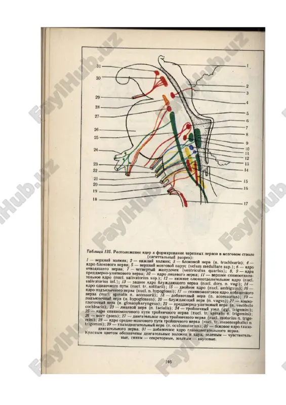poliomielit kasalligi — PPTX