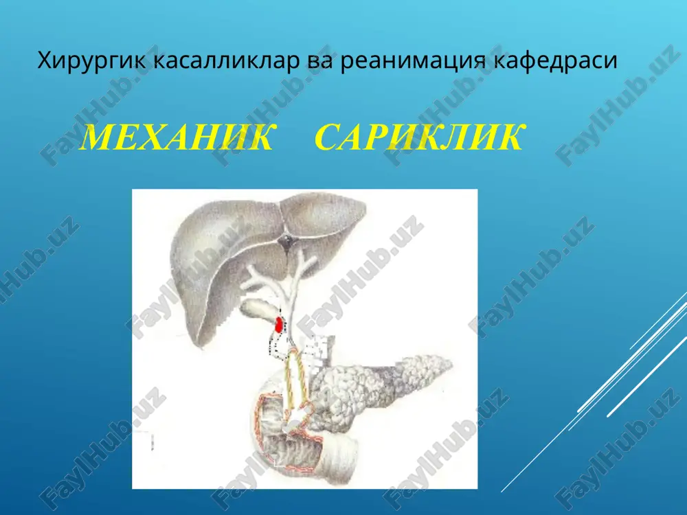 mexanik sariqlik — PPT