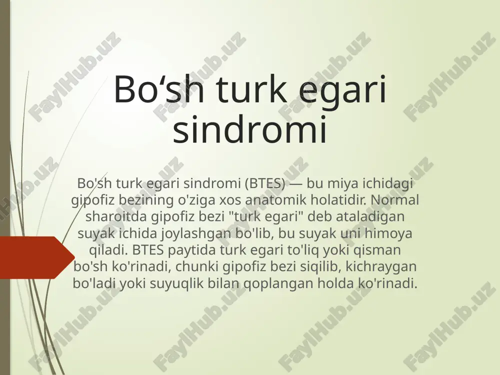 bo‘sh turk egari sindromi — PPTX