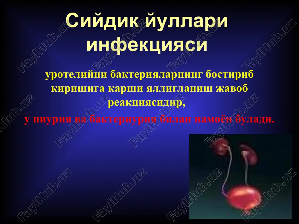 siydik yullari infektsiyasi — PPT