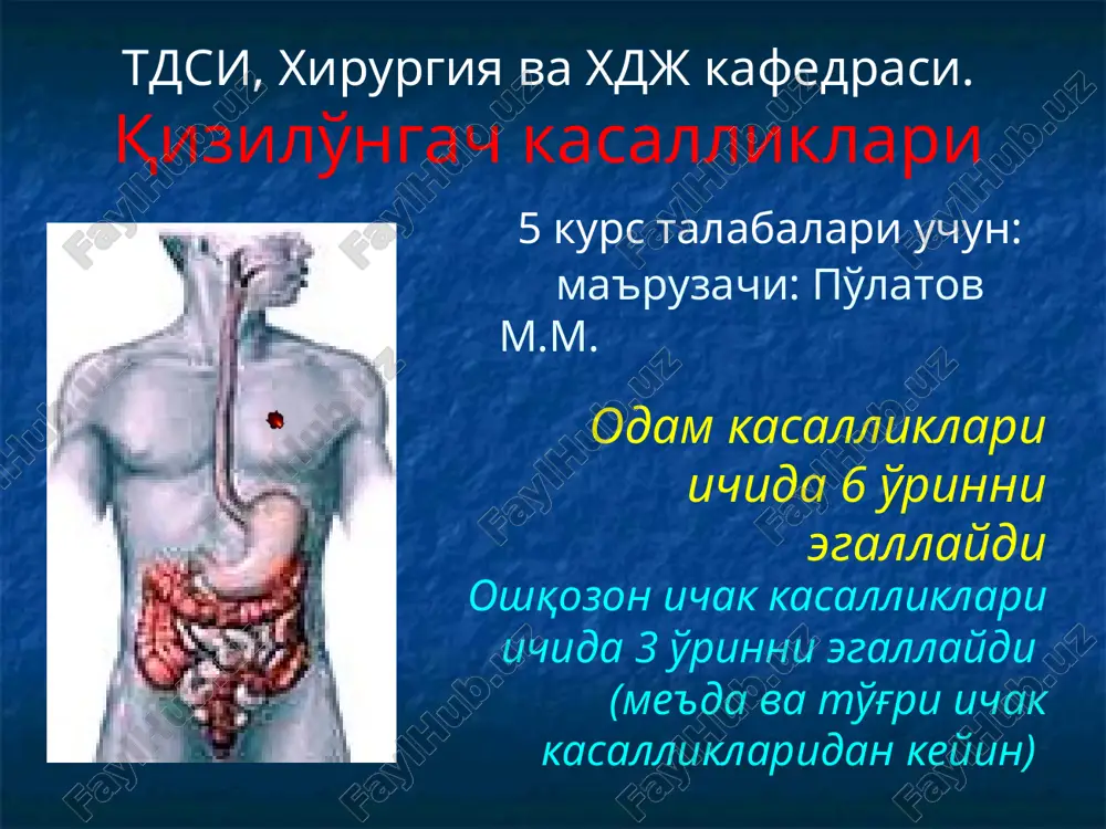 kizilo'ngach kasalliklari — PPT