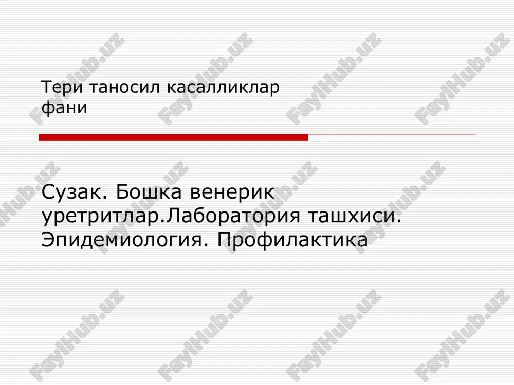 suzak — PPT