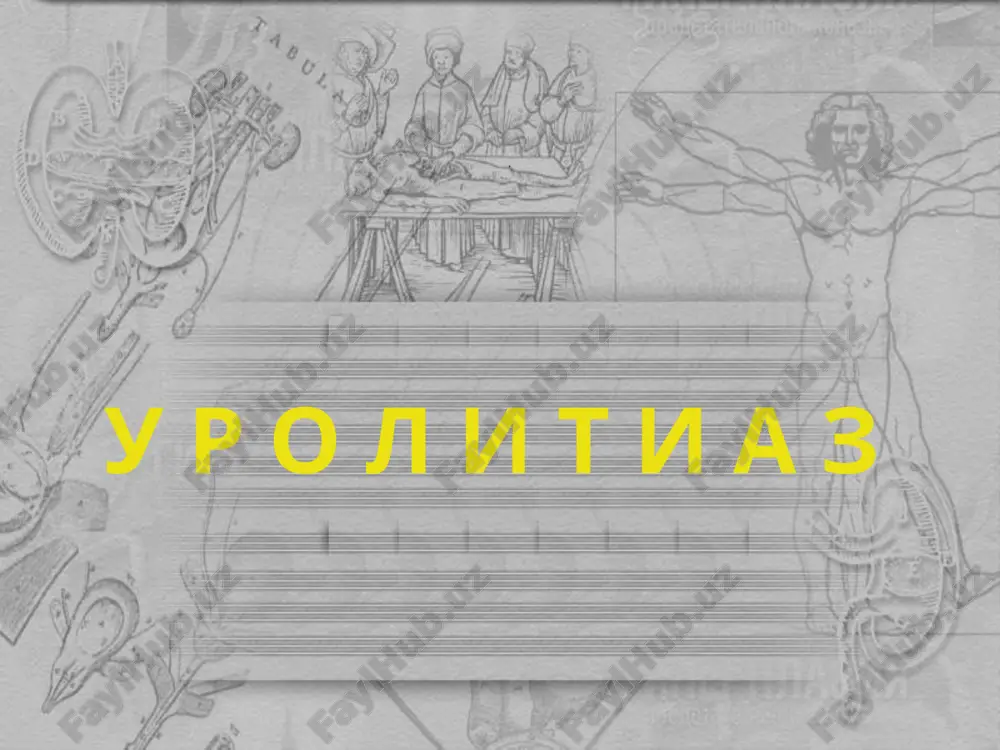siydik tosh kasalligi (stk) — PPT