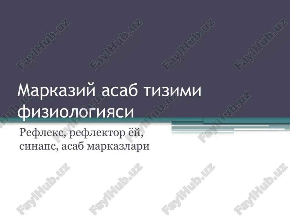 markaziy asab tizimi fiziologiyasi — PPTX