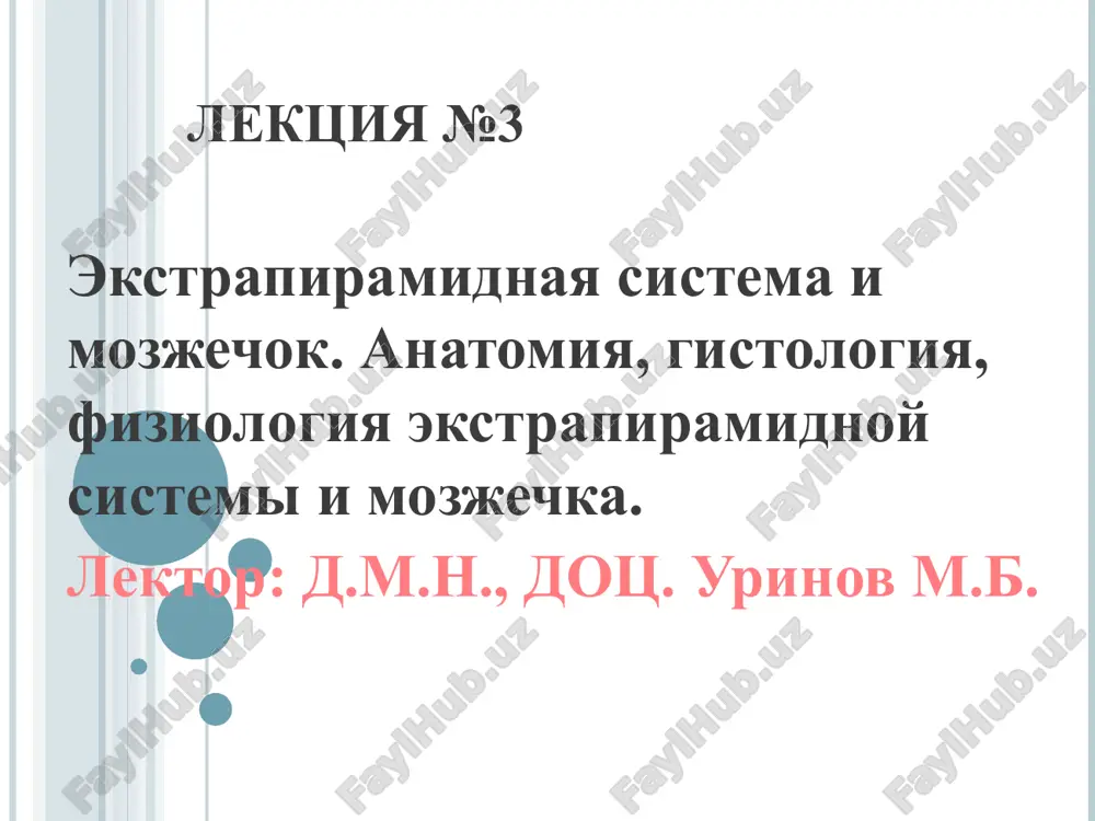 ekstrapiramidnaya sistema i mozjechok — PPT