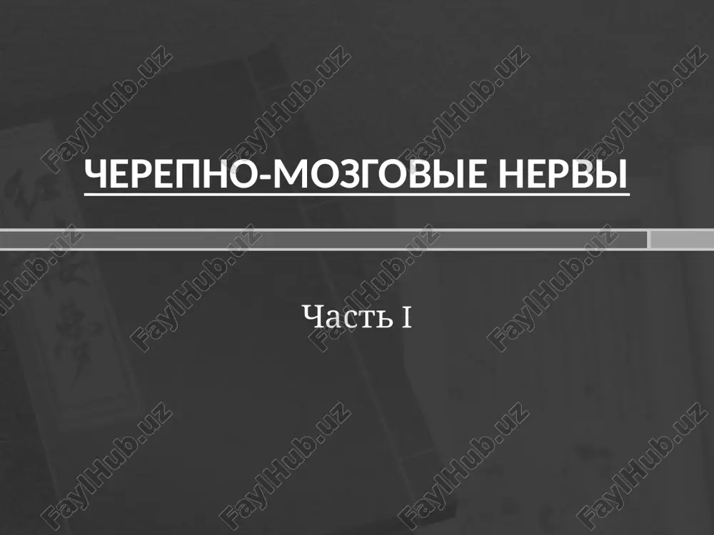 cherepno-mozgovie nervi — PPTX