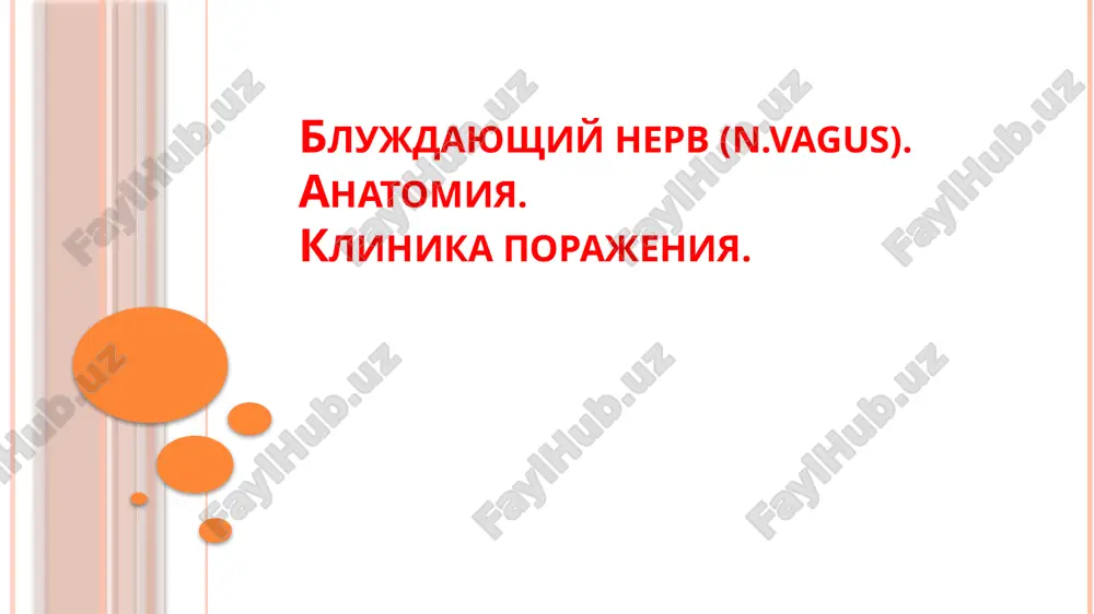 blujdayushiy nerv (n.vagus) — PPTX