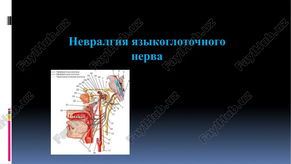 nevralgiya yazikoglotochnogo nerva — PPTX
