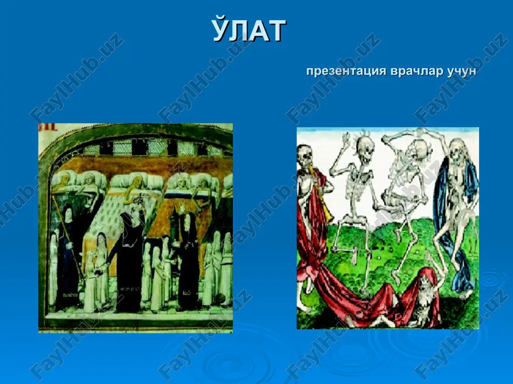 o'lat prezentatsiya — PPT