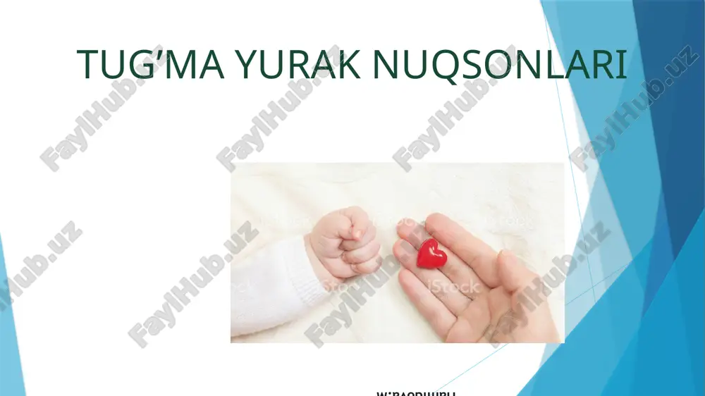 yurak anatomiyasi — PPTX