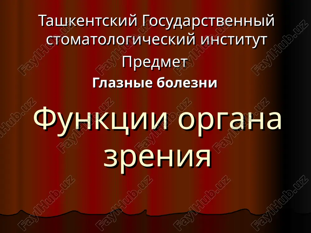 funktsii organa zreniya — PPT