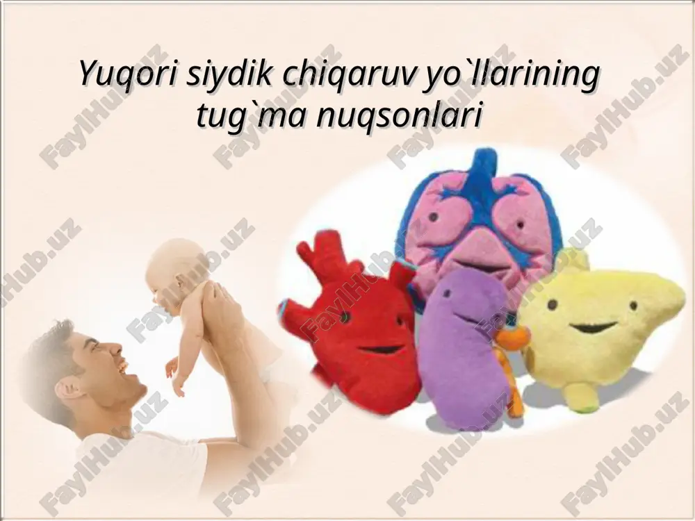 buyraklar va siydik yo'llari — PPT