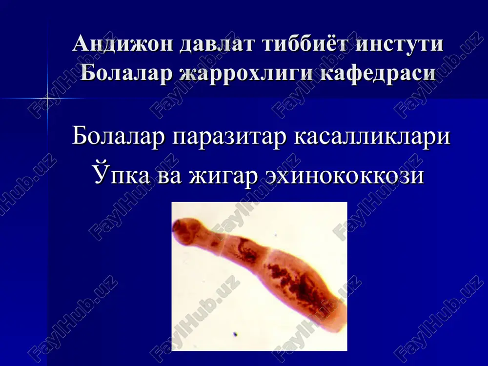 o'pka va jigar exinokokkozi — PPT