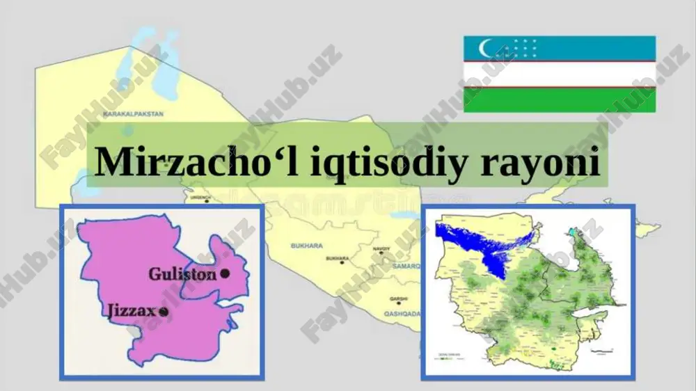 mirzacho’l iqtisodiy rayoni — PPTX