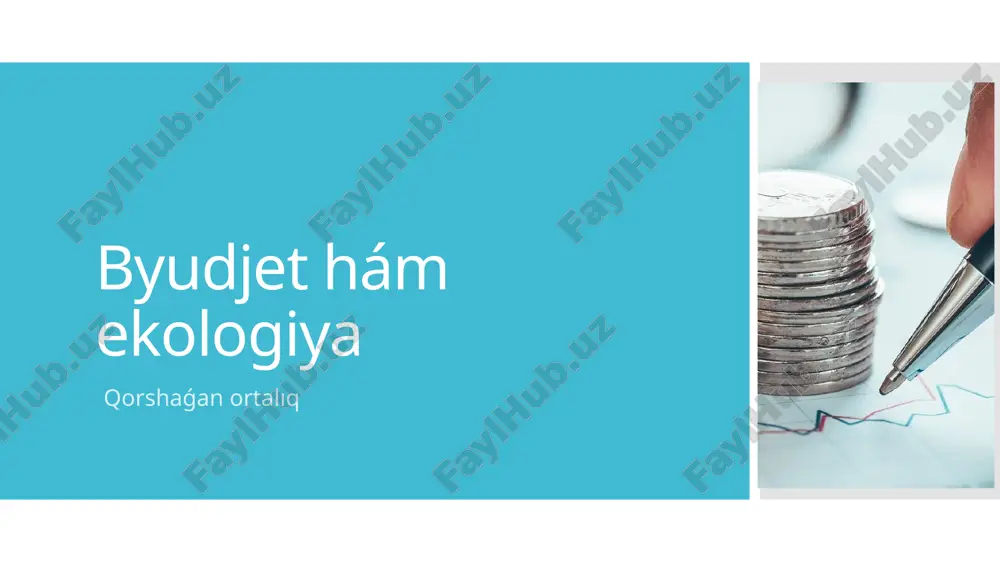 byudjet hám ekologiya — PPTX