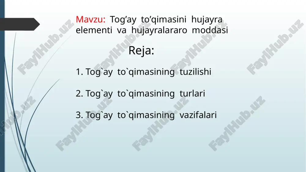 tog’ay to’qimasini hujayra elementi va hujayralararo moddasi — PPTX