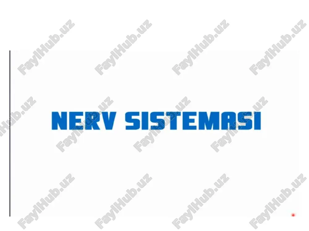 nerv sistemasi — PPTX