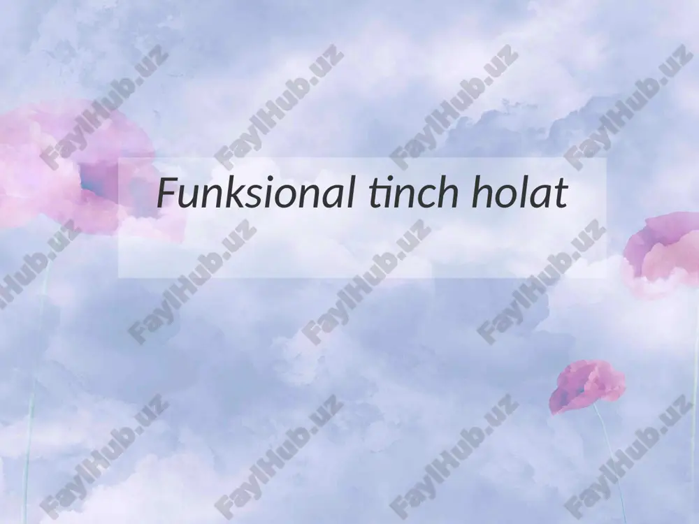 funksional tinch holat — PPTX