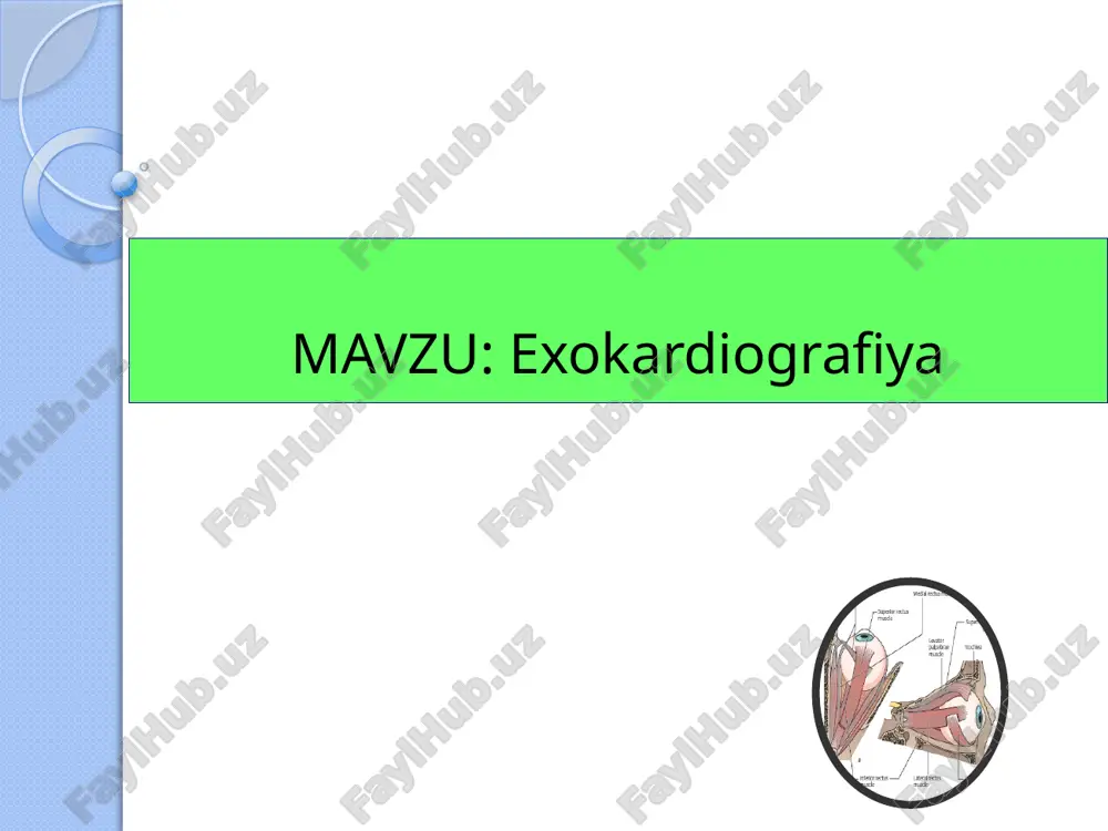 ekokardiografiya — PPTX