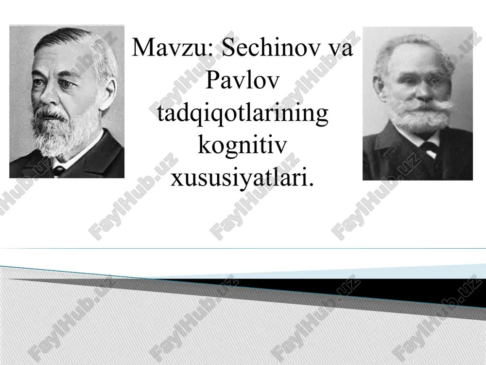 sechinov va pavlov tadqiqotlarining kognitiv xususiyatlari — PPTX