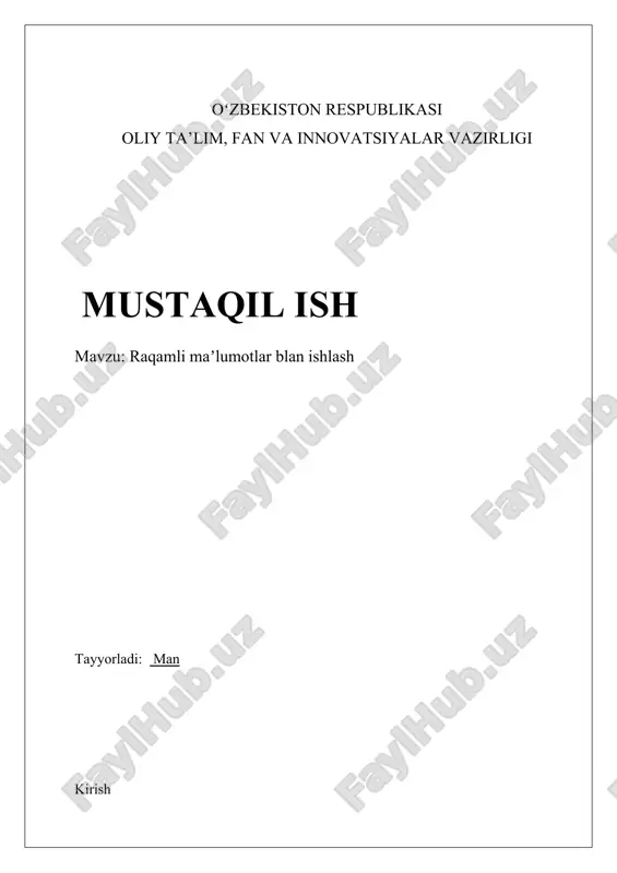 raqamli ma'lumotlar blan ishlash — DOCX