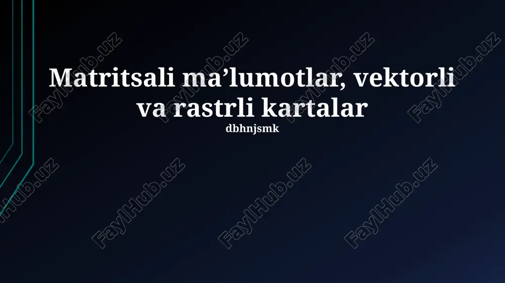 matritsali maʼlumotlar, vektorli va rastrli kartalar — PPTX