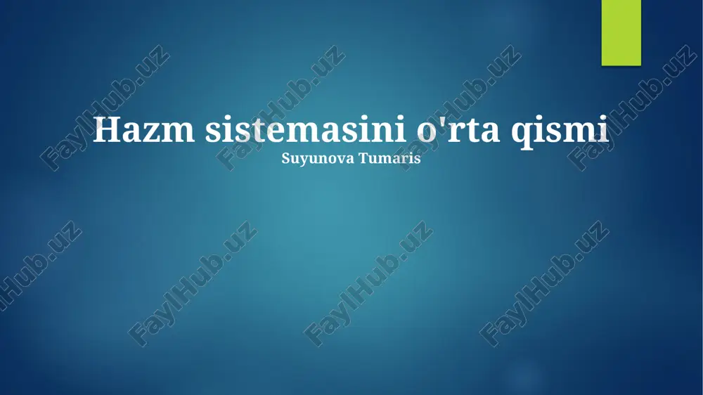 hazm sistemasini o'rta qismi — PPTX