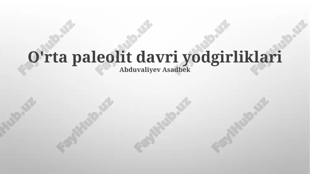 o'rta paleolit davri yodgirliklari — PPTX