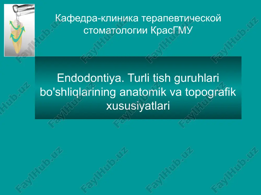 endodontiya — PPTX