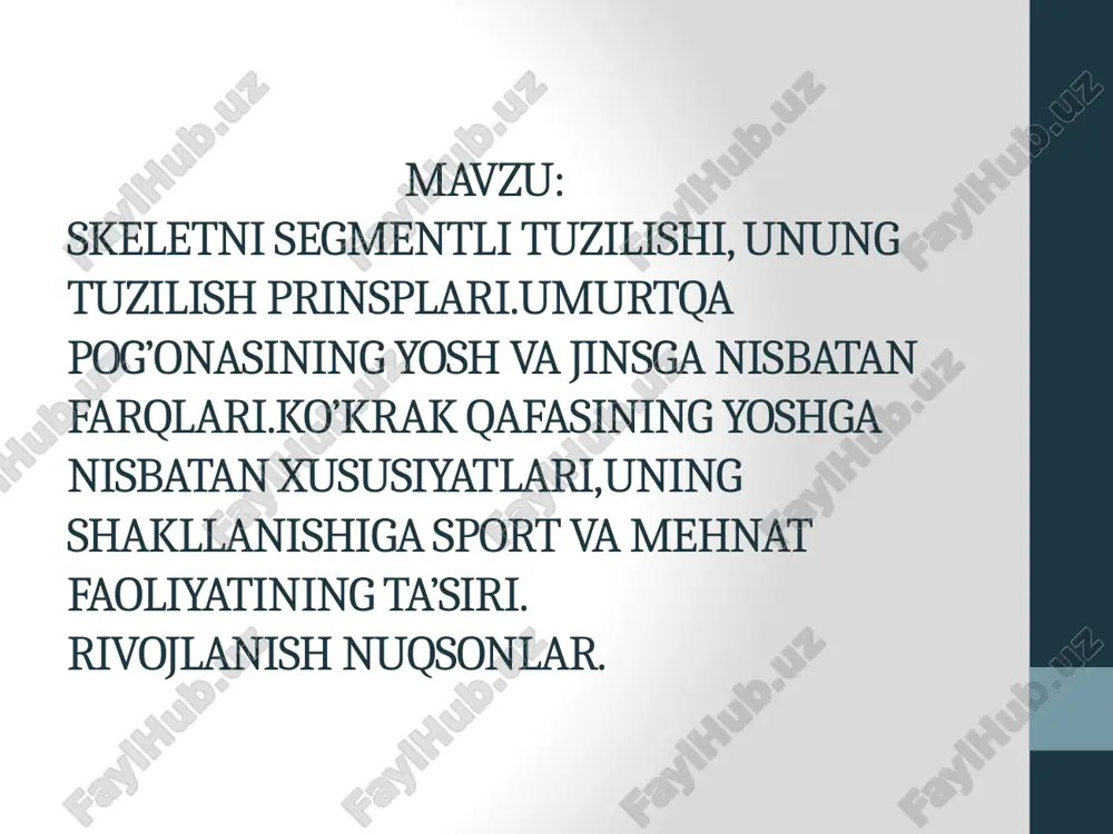 skeletni segmentli tuzilishi — PPTX