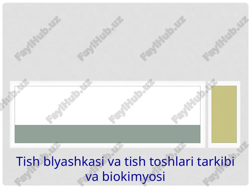 tishblyashka sivi tarkibiy bioqimyosi — PPTX