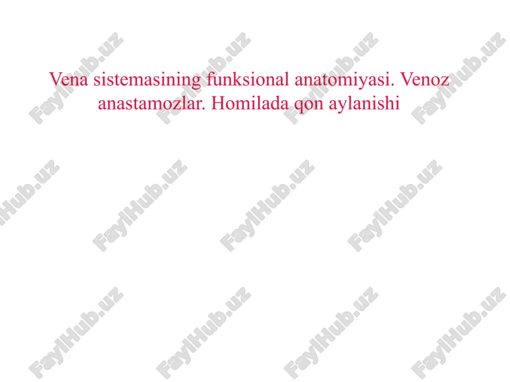 venasistemasining funksional anatomiyasi — PPTX