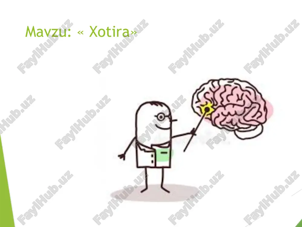 xotira — PPTX