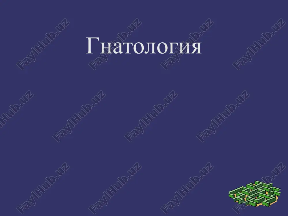 gnatologiya — PPTX