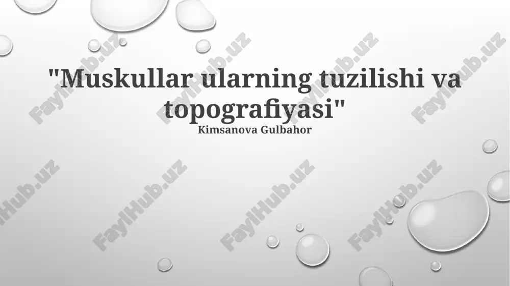 muskullar ularning tuzilishi va topografiyasi — PPTX