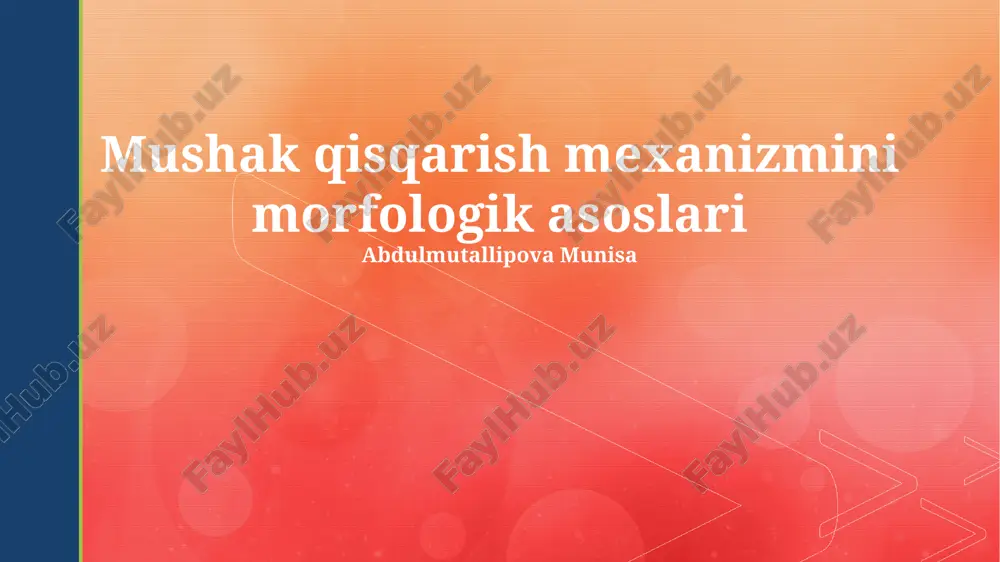 mushak qisqarish mexanizmini morfologik asoslari — PPTX