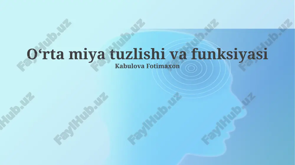oʻrta miya tuzlishi va funksiyasi — PPTX