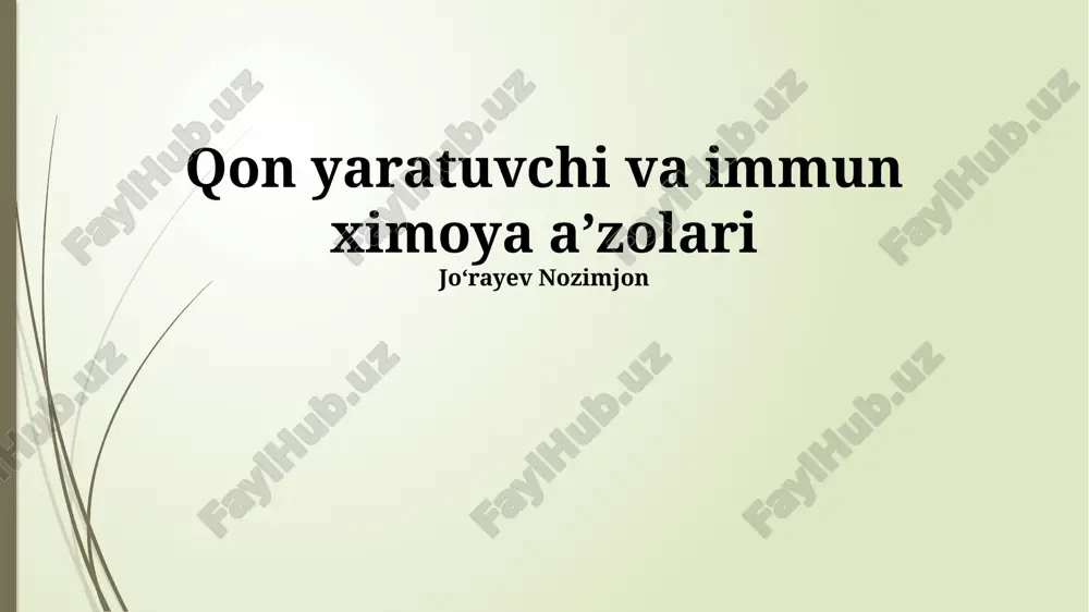 qon yaratuvchi va immun ximoya aʼzolari — PPTX