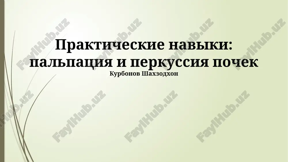 prakticheskie naviki: palpatsiya i perkussiya pochek — PPTX